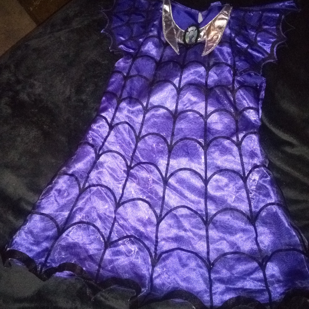Halloween Costumes/Play Dress Up